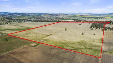 Farm Sold - NSW - Werris Creek - 2341 - Massive Development Potential or Tremendous Farming Grazing-Lifestyle  (Image 2)