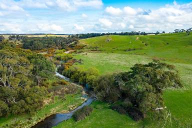Farm Sold - VIC - Grenville - 3352 - NOTED HISTORIC BALLARAT DISTRICT PROPERTY  (Image 2)
