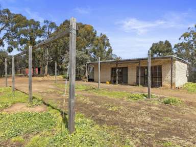 Farm Sold - VIC - Whiteheads Creek - 3660 - Diamond in the Rough  (Image 2)