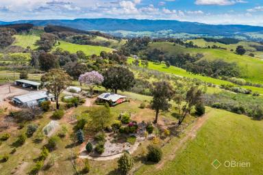 Farm Sold - VIC - Whitfield - 3733 - VALLEY VIEWS  (Image 2)