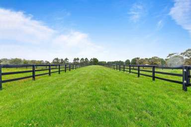 Farm Sold - VIC - Mitchell Park - 3355 - Incredible Lifestyle Opportunity With Impressive Equestrian Facilities  (Image 2)