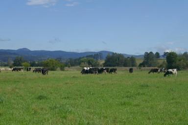 Farm Sold - NSW - Old Bonalbo - 2469 - "OAK LEA DAIRY" - 411 ACRES  (Image 2)