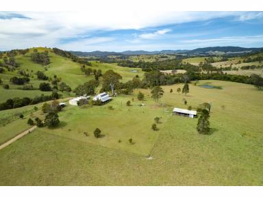 Farm Sold - NSW - Bunyah - 2429 - WELCOME TO YOUR NEW VIEW OF LIFE  (Image 2)