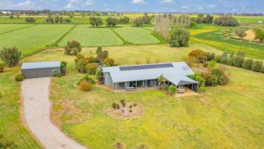 Farm Sold - VIC - Bamawm - 3561 - Lifestyle Property  -  Sale by Date closes 4:00pm 12/11/2021  (Image 2)