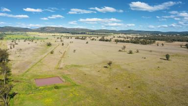 Farm Sold - NSW - Spring Ridge - 2343 - "Meglea" - untapped potential in a rich, mixed farming area. Good water, with building potential.  (Image 2)
