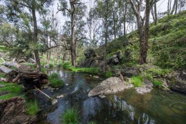 Farm Sold - NSW - Bendemeer - 2355 - Affordable Grazing Block 35mins to Tamworth  (Image 2)