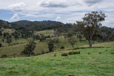 Farm Sold - NSW - Bendemeer - 2355 - Affordable Grazing Block 35mins to Tamworth  (Image 2)