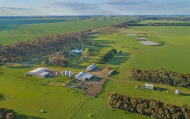 Farm Sold - VIC - Derrinallum - 3325 - Prime Cropping / Prime Lamb Holding  (Image 2)