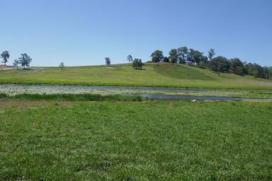 Farm Sold - NSW - Kyogle - 2474 - LAKE VIEWS  (Image 2)