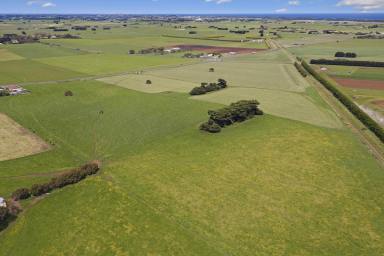 Farm Sold - VIC - Southern Cross - 3283 - UNIQUE OPPORTUNITY - LIFESTYLE PROPERTY WITH SUPERIOR PRODUCTION CAPABILITIES - RICH VOLCANIC SOIL  (Image 2)