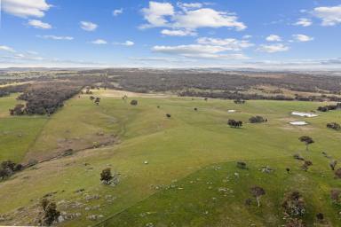 Farm Sold - NSW - Goulburn - 2580 - "Merricroft"  (Image 2)