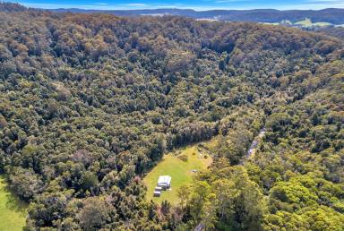 Farm Sold - NSW - Ulong - 2450 - Escape to the Country...  (Image 2)