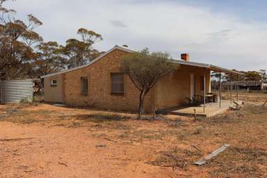 Farm Sold - SA - Beatty - 5320 - Rare large land holding……..  (Image 2)