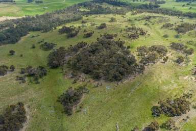 Farm For Sale - VIC - Glenhope - 3444 - Memorable Sunset's  (Image 2)