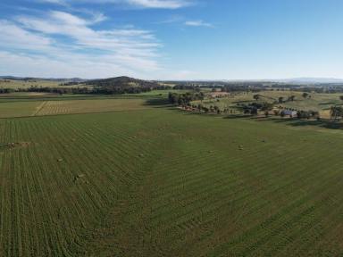Farm Sold - NSW - Canowindra - 2804 - Gayton  (Image 2)
