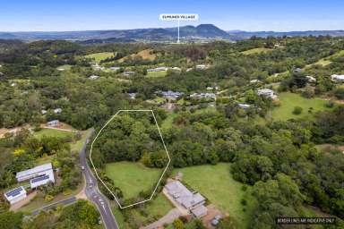 Farm Sold - QLD - Eumundi - 4562 - 3 Acres of Land - Unique Opportunity  (Image 2)