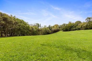 Farm Sold - QLD - Eumundi - 4562 - 3 Acres of Land - Unique Opportunity  (Image 2)