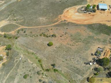 Farm For Sale - QLD - Mosman Park - 4820 - VACANT LAND ON 4.20 ACRES WITH WATER AND POWER TO BLOCK  (Image 2)