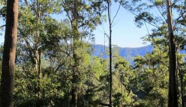 Farm Sold - NSW - Missabotti - 2449 - For Sale _ "MT.Bowra  Sanctuary"  (Image 2)