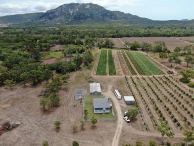 Farm Sold - QLD - Bowen - 4805 - Country Lifestyle with Options  (Image 2)