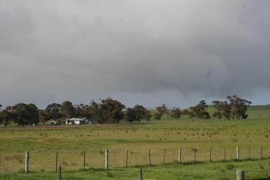 Farm For Sale - VIC - Henty - 3312 - "BERTINYA" - Attractive and Productive Farmlet  (Image 2)