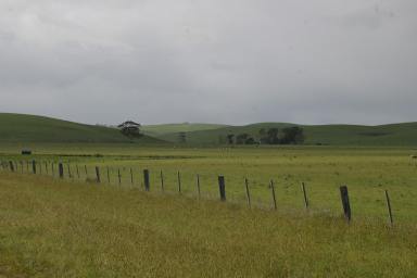 Farm For Sale - VIC - Henty - 3312 - "BERTINYA" - Attractive and Productive Farmlet  (Image 2)