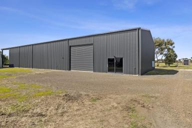 Farm Sold - VIC - Moolap - 3224 - Exceptional Geelong Fringe Location  (Image 2)