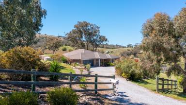 Farm Sold - NSW - Tamworth - 2340 - MODERN HOME, RURAL SETTING, EDGE OF TOWN  (Image 2)