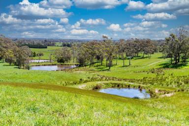 Farm Sold - NSW - Wildes Meadow - 2577 - The Glorious 'Lothlorien' Estate  (Image 2)