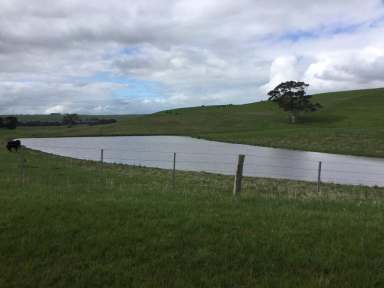 Farm Sold - VIC - Henty - 3312 - "STAMFORD" - OUTSTANDING BREEDING & FATTENING COUNTRY  (Image 2)