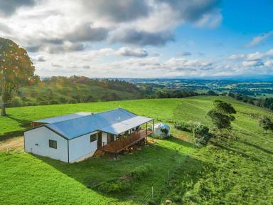 Farm Sold - NSW - McLeans Ridges - 2480 - Prime Location - 40ha + Home - Buy Now with Delayed Settlement  (Image 2)