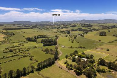 Farm Sold - NSW - Dorrigo - 2453 - "Harvest House" Exceptional Small Acreage Property Within Minutes to Town.  (Image 2)