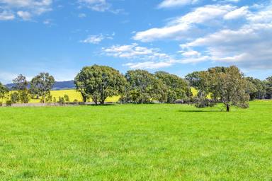 Farm Sold - VIC - Buangor - 3375 - Superb Outlook with Excellent accessibility  (Image 2)