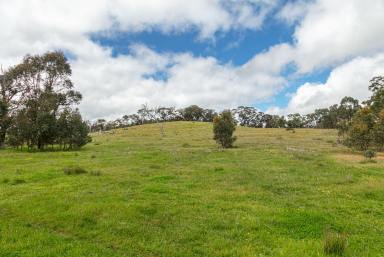 Farm Sold - VIC - Tooborac - 3522 - Your Private Oasis Awaits.  (Image 2)