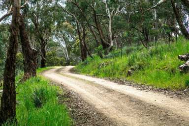 Farm Sold - VIC - Tooborac - 3522 - Your Private Oasis Awaits.  (Image 2)