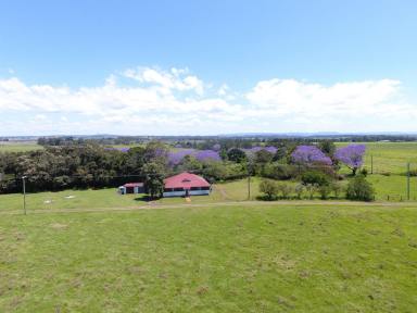 Farm Sold - NSW - Casino - 2470 - KIRIWINA - PRIME AGRICULTURAL LAND  (Image 2)