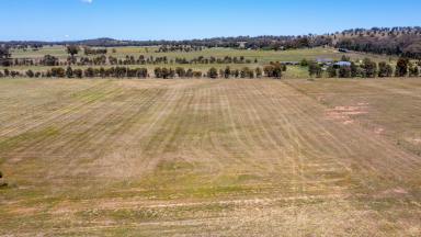 Farm Sold - NSW - Quirindi - 2343 - EXCITING LIFESTYLE OPPORTUNITY - BUILD YOUR DREAM HOME  (Image 2)