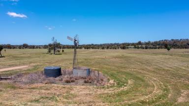 Farm Sold - NSW - Quirindi - 2343 - EXCITING LIFESTYLE OPPORTUNITY - BUILD YOUR DREAM HOME  (Image 2)