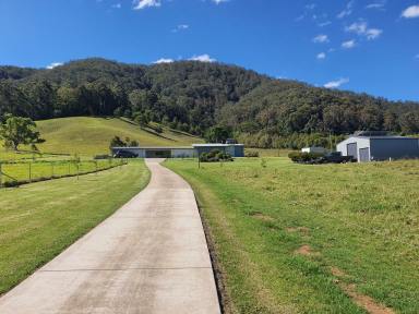 Farm Sold - NSW - Bonville - 2450 - Most Impressive - Forget the Worries of the World.  (Image 2)
