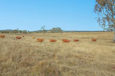 Farm Sold - NSW - Tenterfield - 2372 - "Kinlea" - Quality Grazing Country.....  (Image 2)
