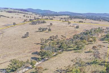 Farm Sold - NSW - Tenterfield - 2372 - "Kinlea" - Quality Grazing Country.....  (Image 2)