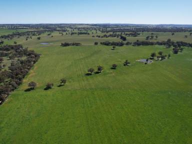 Farm Sold - NSW - Young - 2594 - The Ultimate Rural Lifestyle Opportunity  (Image 2)