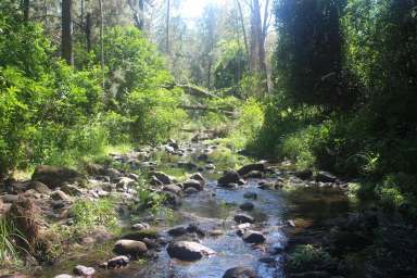 Farm Sold - QLD - Mount Colliery - 4370 - Secluded Picturesque Creek Front Property  (Image 2)