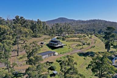 Farm Sold - TAS - Murdunna - 7178 - Open Day Sat 6th November, please call for an appointment time  (Image 2)