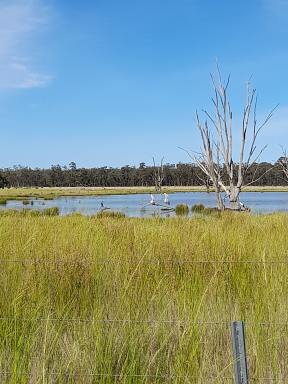 Farm Sold - NSW - Balladoran - 2822 - Irrigation Lic Included in this rural Property  (Image 2)
