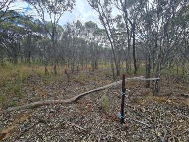 Farm Sold - WA - Cuballing - 6311 - Bush Block with Scheme Water!  (Image 2)