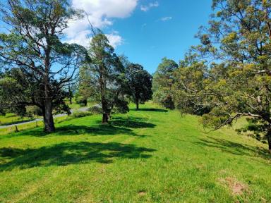 Farm Sold - NSW - Kyogle - 2474 - UNDER CONTRACT  (Image 2)