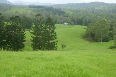 Farm Sold - NSW - Kyogle - 2474 - SPECTACULAR VIEWS  (Image 2)