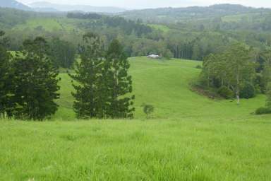 Farm Sold - NSW - Kyogle - 2474 - SPECTACULAR VIEWS  (Image 2)