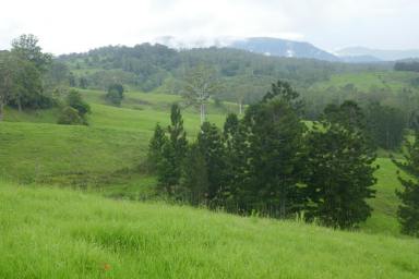 Farm Sold - NSW - Kyogle - 2474 - SPECTACULAR VIEWS  (Image 2)